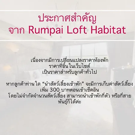 Rumpai Loft Habitat